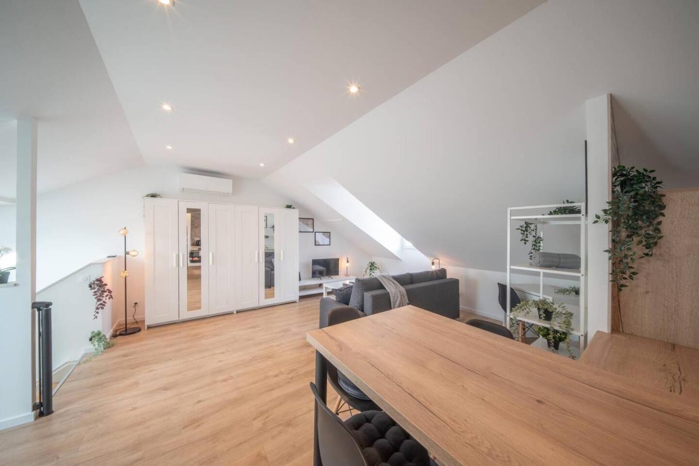 Superbe Appartement Climatise Parking Free Special Eurovision Mulhouse Exterior photo